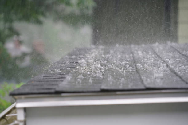Best Solar Panel Roofing Installation  in Shields, MI