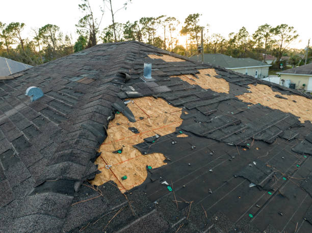 Best Roof Maintenance and Cleaning  in Shields, MI