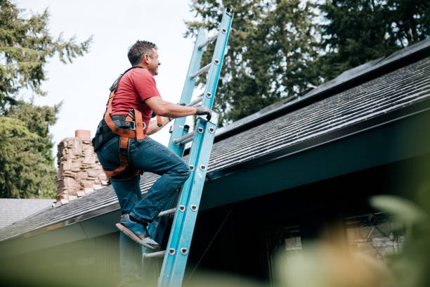 Emergency Roof Repair in Shields, MI