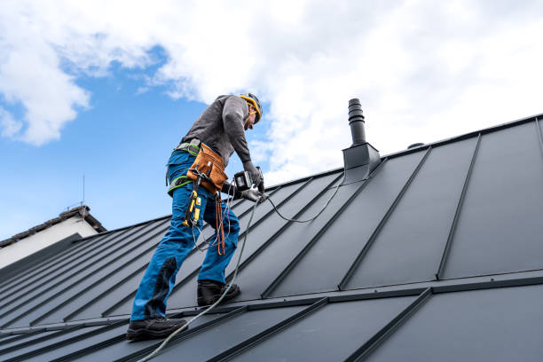 Best Metal Roofing Installation  in Shields, MI